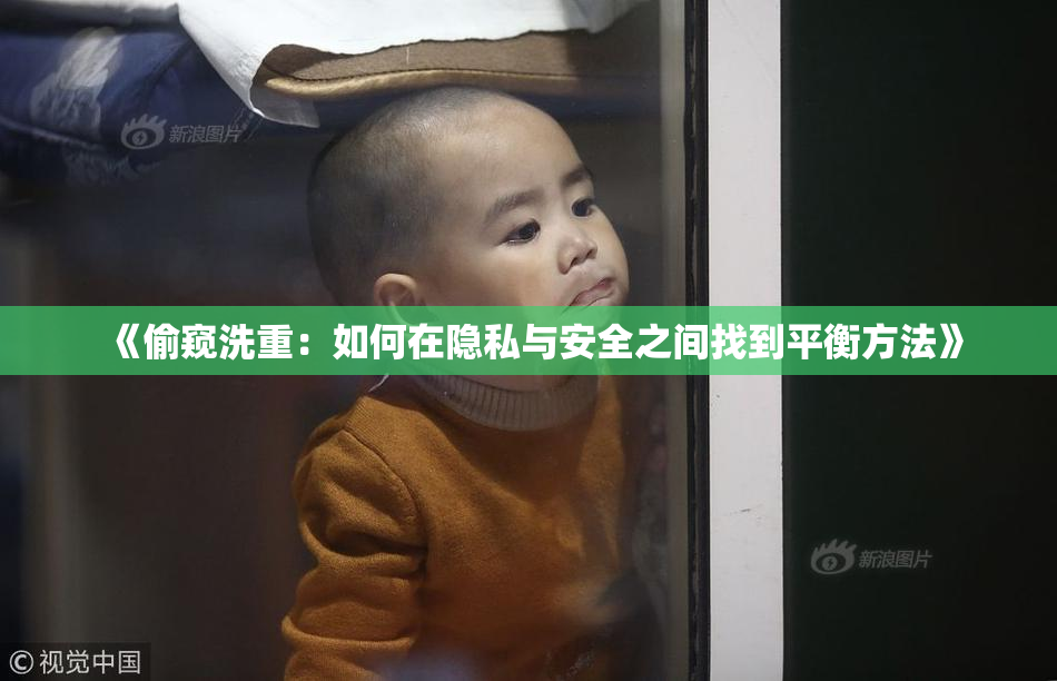 《偷窥洗重：如何在隐私与安全之间找到平衡方法》