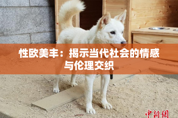 性欧美丰：揭示当代社会的情感与伦理交织