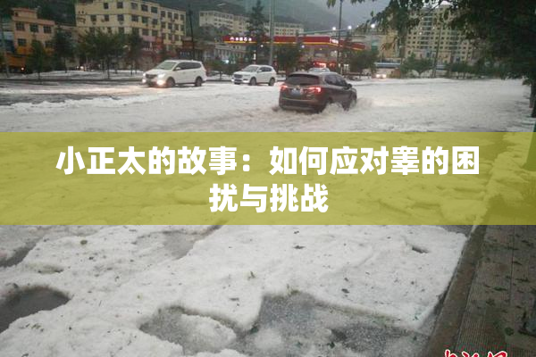 小正太的故事：如何应对睾的困扰与挑战