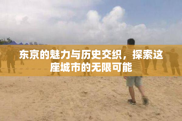 东京的魅力与历史交织，探索这座城市的无限可能