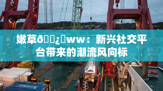 嫩草🌿‌ww：新兴社交平台带来的潮流风向标