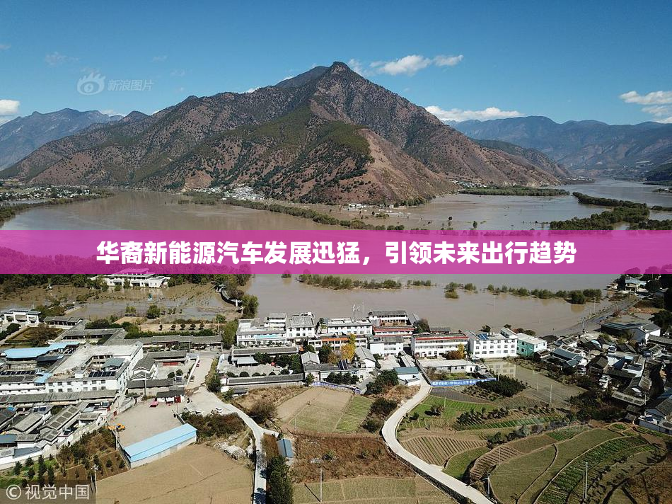 华裔新能源汽车发展迅猛，引领未来出行趋势