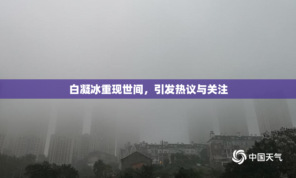 白凝冰重现世间，引发热议与关注