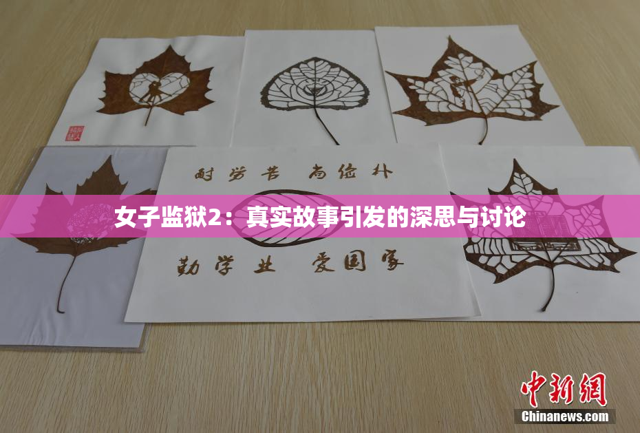 女子监狱2：真实故事引发的深思与讨论