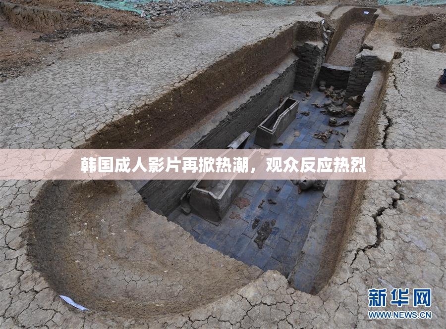 韩国成人影片再掀热潮，观众反应热烈