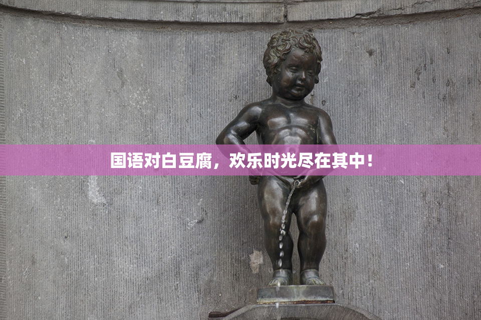 国语对白豆腐，欢乐时光尽在其中！
