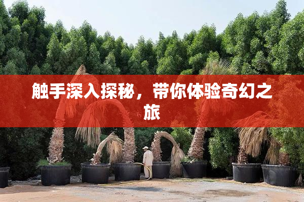 触手深入探秘，带你体验奇幻之旅