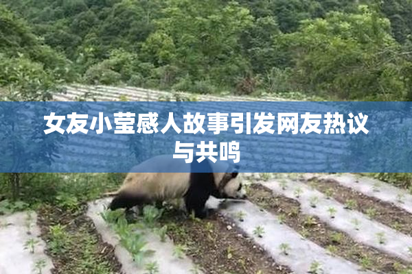女友小莹感人故事引发网友热议与共鸣