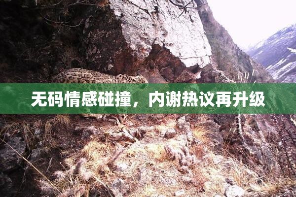 无码情感碰撞，内谢热议再升级