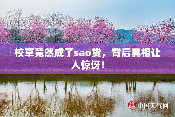 校草竟然成了sao货，背后真相让人惊讶！