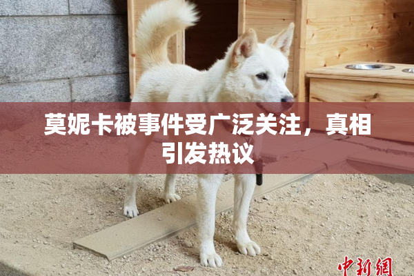 莫妮卡被事件受广泛关注，真相引发热议