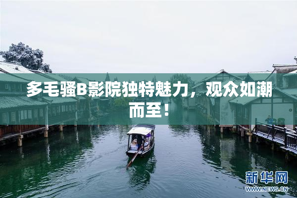多毛骚B影院独特魅力，观众如潮而至！