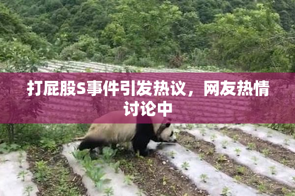 打屁股S事件引发热议，网友热情讨论中