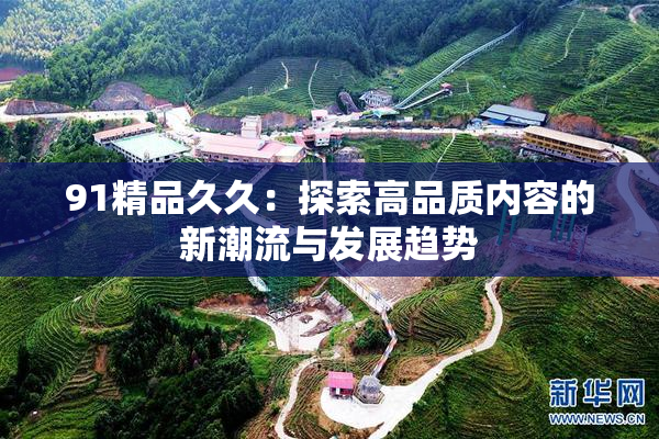 91精品久久：探索高品质内容的新潮流与发展趋势