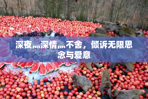 深夜灬深情灬不舍，倾诉无限思念与爱意