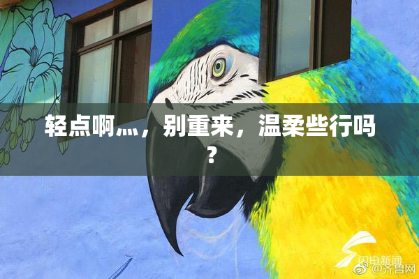 轻点啊灬，别重来，温柔些行吗？