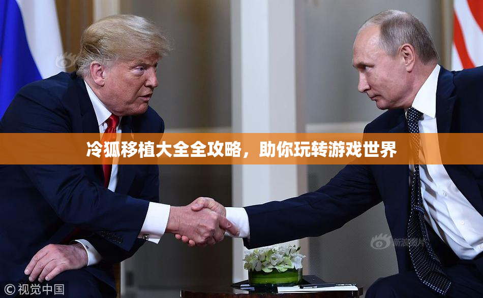 冷狐移植大全全攻略，助你玩转游戏世界