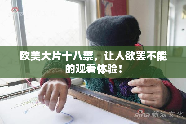 欧美大片十八禁，让人欲罢不能的观看体验！