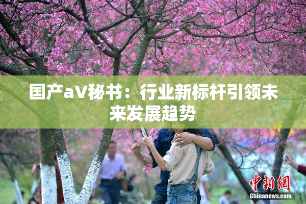 国产aV秘书：行业新标杆引领未来发展趋势