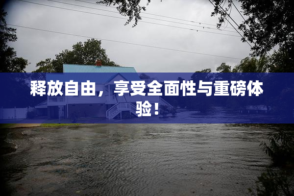 释放自由，享受全面性与重磅体验！