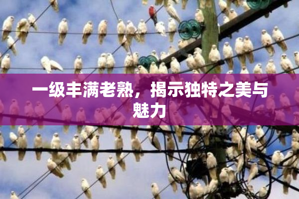 一级丰满老熟，揭示独特之美与魅力