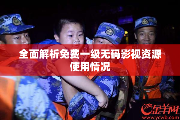 全面解析免费一级无码影视资源使用情况