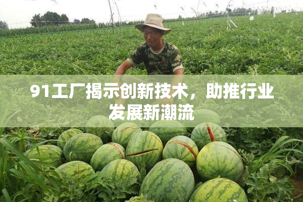91工厂揭示创新技术，助推行业发展新潮流