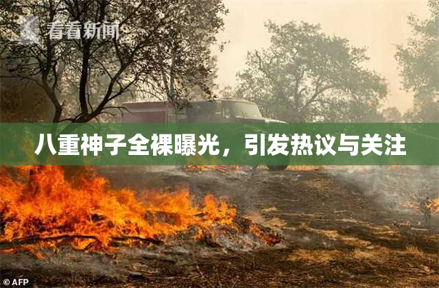 八重神子全裸曝光，引发热议与关注