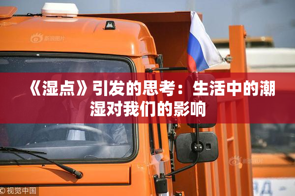 《湿点》引发的思考：生活中的潮湿对我们的影响