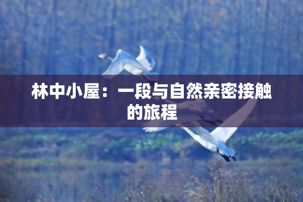 林中小屋：一段与自然亲密接触的旅程