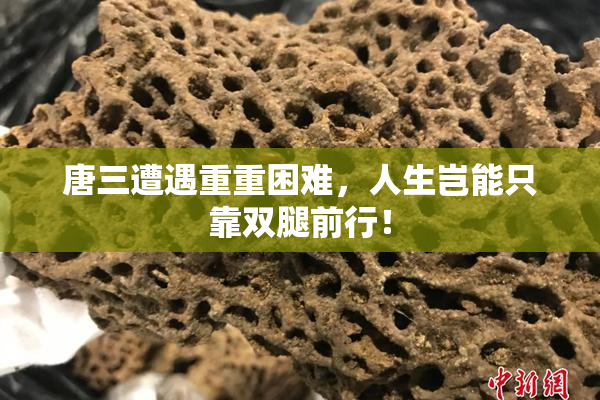 唐三遭遇重重困难，人生岂能只靠双腿前行！