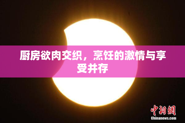 厨房欲肉交织，烹饪的激情与享受并存