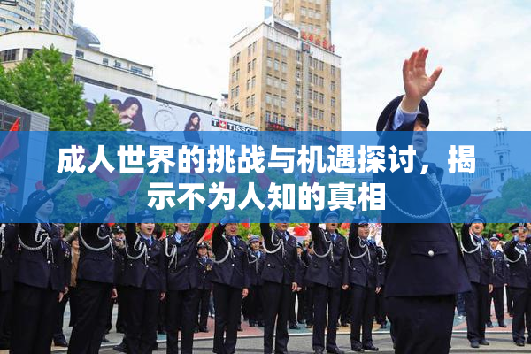 成人世界的挑战与机遇探讨，揭示不为人知的真相