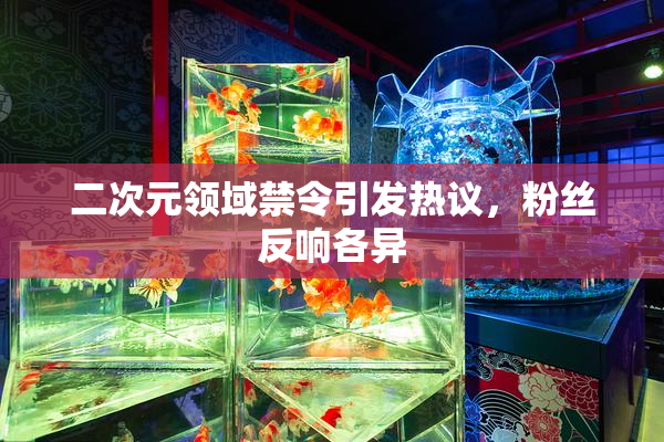 二次元领域禁令引发热议，粉丝反响各异