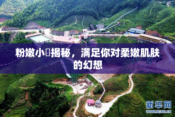 粉嫩小泬揭秘，满足你对柔嫩肌肤的幻想