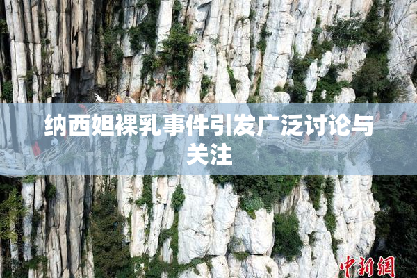 纳西妲裸乳事件引发广泛讨论与关注