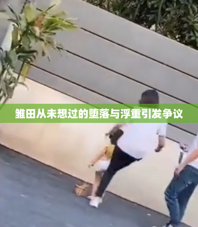雏田从未想过的堕落与浮重引发争议