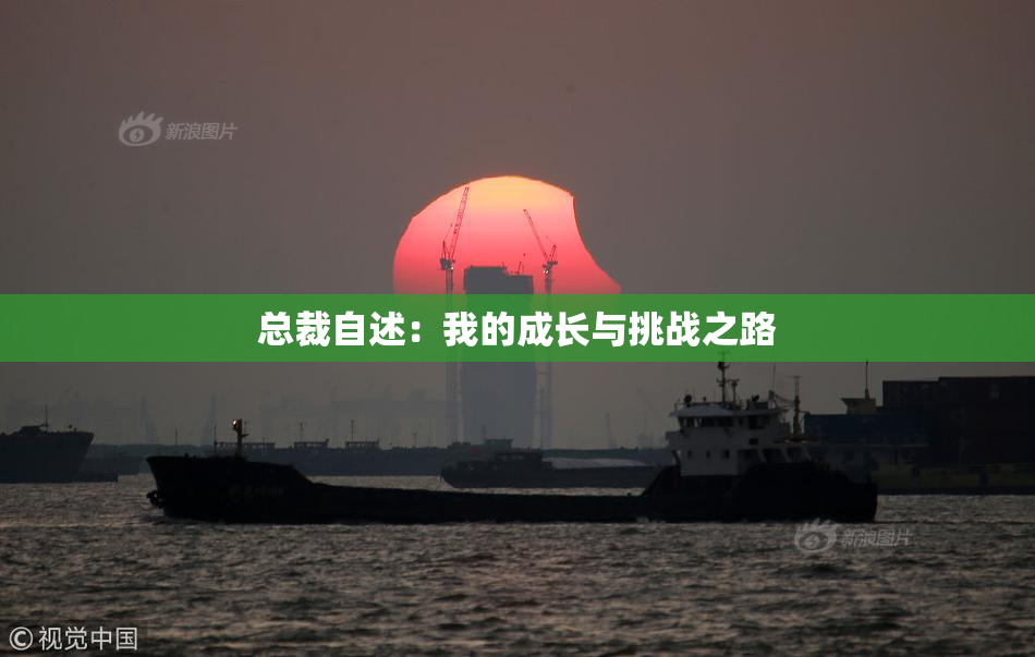 总裁自述：我的成长与挑战之路