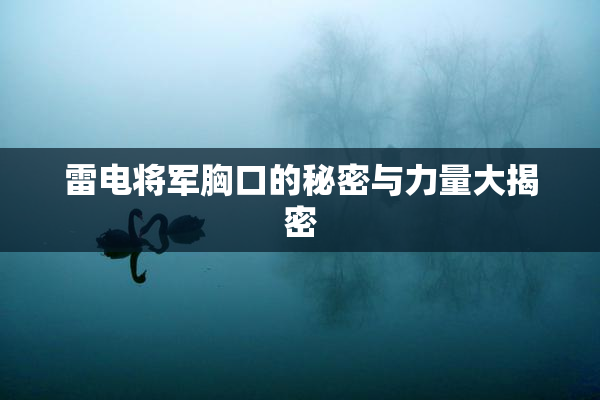 雷电将军胸口的秘密与力量大揭密