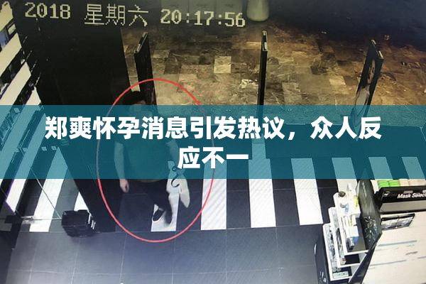 郑爽怀孕消息引发热议，众人反应不一
