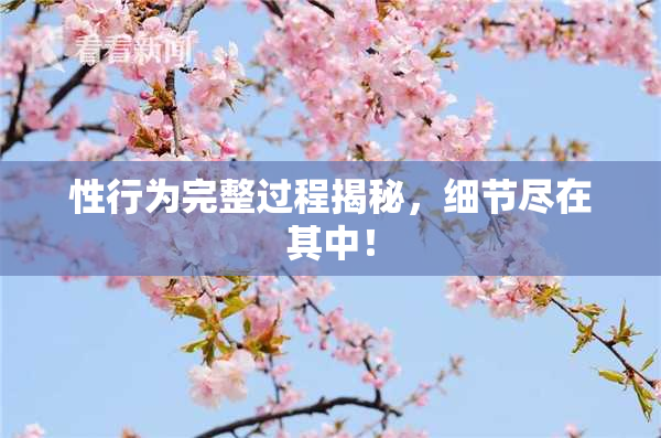 性行为完整过程揭秘，细节尽在其中！