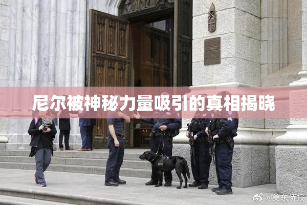 尼尔被神秘力量吸引的真相揭晓