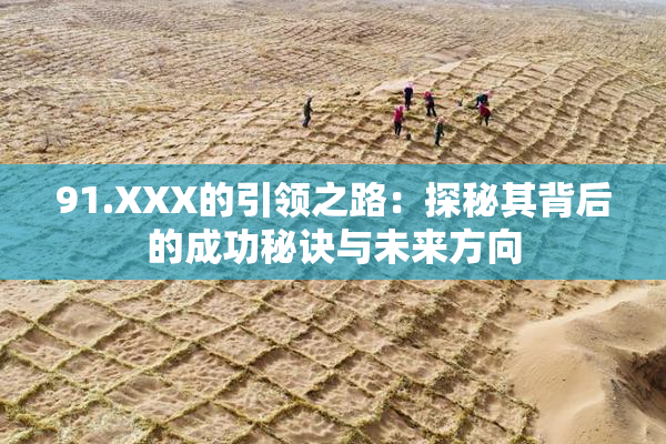 91.XXX的引领之路：探秘其背后的成功秘诀与未来方向