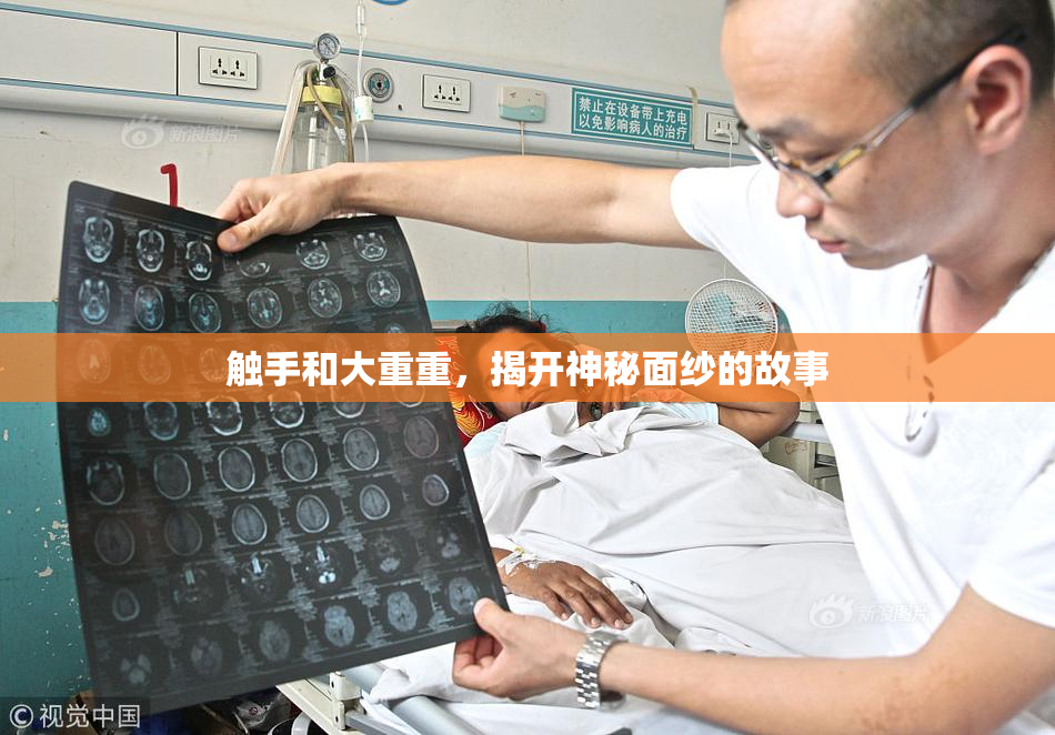 触手和大重重，揭开神秘面纱的故事
