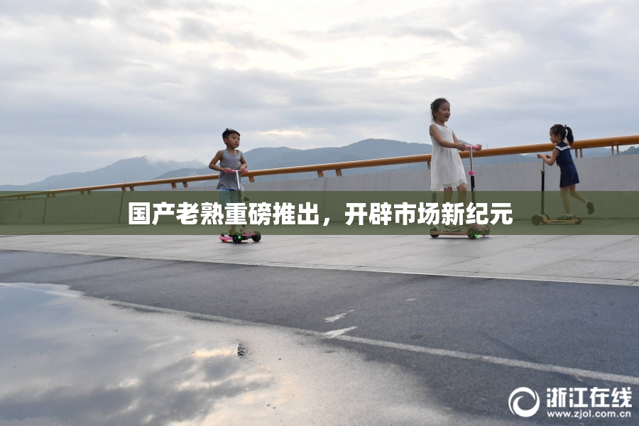 国产老熟重磅推出，开辟市场新纪元