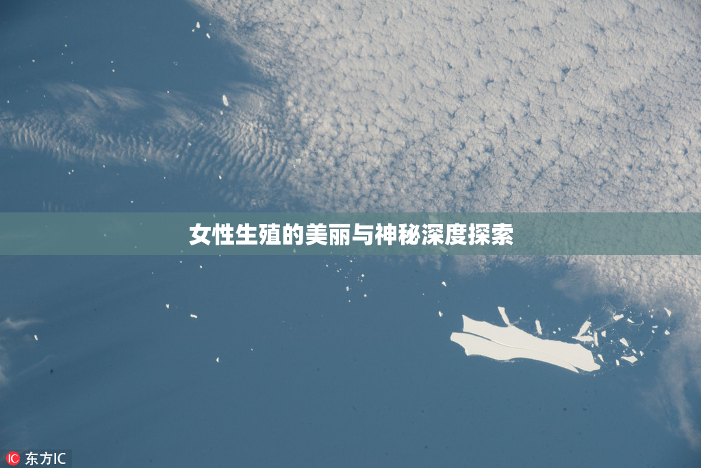 女性生殖的美丽与神秘深度探索