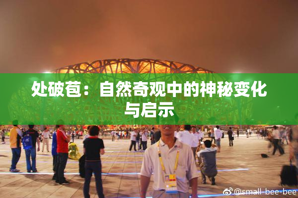 处破苞：自然奇观中的神秘变化与启示