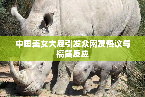 中国美女大屁引发众网友热议与搞笑反应