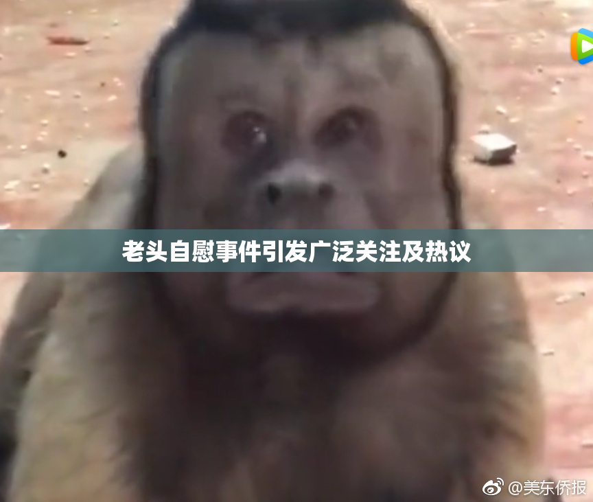 老头自慰事件引发广泛关注及热议