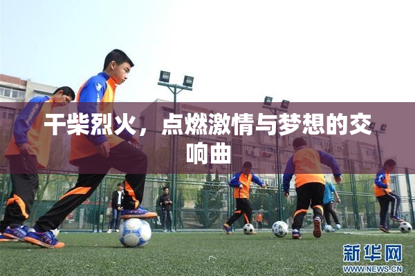干柴烈火，点燃激情与梦想的交响曲
